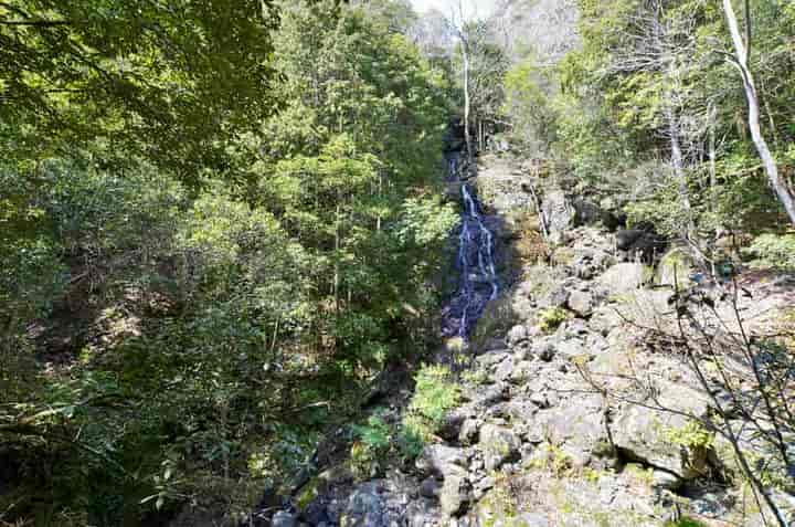 �k���̑�E����